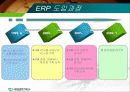 태광실업의 ERP시스템 10페이지