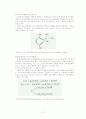 항산화제 16페이지