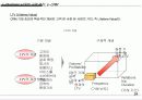 e-Business 시대의 고객 관리, e-CRM 25페이지