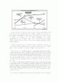 법경제학 - MS사례분석 및 MSN메신저문제 (추가:경영학도서독후감) 17페이지