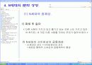 N세대의 개념과 N세대의 문화, 세대경험 분석, 고찰 [발표자료] 20페이지