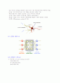 데이터마이닝기법과 신경망 모형 2페이지