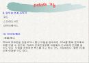 [기술조사 발표자료]PDA 8페이지