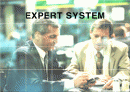 전문가 시스템 (EXPERT SYSTEM) 1페이지