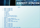 전문가 시스템 (EXPERT SYSTEM) 2페이지