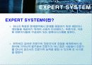 전문가 시스템 (EXPERT SYSTEM) 3페이지