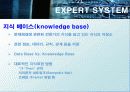 전문가 시스템 (EXPERT SYSTEM) 10페이지