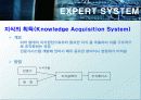 전문가 시스템 (EXPERT SYSTEM) 27페이지