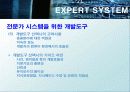 전문가 시스템 (EXPERT SYSTEM) 32페이지