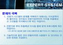 전문가 시스템 (EXPERT SYSTEM) 56페이지