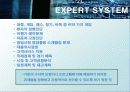 전문가 시스템 (EXPERT SYSTEM) 60페이지