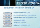 전문가 시스템 (EXPERT SYSTEM) 61페이지