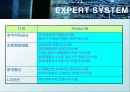 전문가 시스템 (EXPERT SYSTEM) 67페이지