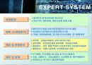 전문가 시스템 (EXPERT SYSTEM) 71페이지