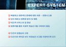 전문가 시스템 (EXPERT SYSTEM) 74페이지