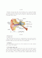 청각기관의 구조와 기능 2페이지