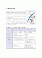 아동학대의 원인과 개선 방안 13페이지