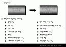 [웹사이트 비교분석]KOREA.com VS AOL.com 3페이지