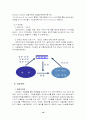 (사업계획서) 노인을 대상으로 한 노인 전문 포털 사이트 - 산업 기업 및 제품 분석, 경영전략, 소요자본 및 제품 개발 계획 18페이지