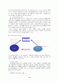 (사업계획서) 노인을 대상으로 한 노인 전문 포털 사이트 - 산업 기업 및 제품 분석, 경영전략, 소요자본 및 제품 개발 계획 22페이지