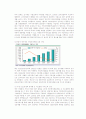 중국 휴대폰시장과 국내 휴대폰업체들의 전략 3페이지