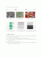 나노 임프린트 리소그래피에 대한 강연 4페이지