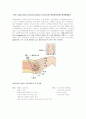 수술실 case 1페이지