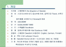 스웨덴의 보건의료제도 2페이지