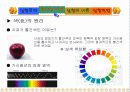 Absorption Spectra of Conjugated dye 6페이지
