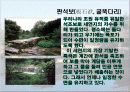 고산윤선도에대해서(PPT) 18페이지