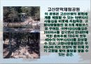 고산윤선도에대해서(PPT) 24페이지