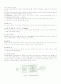 교육과정(敎育課程)에 대해 11페이지