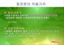 환경호르몬의 피해와 대책 14페이지