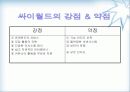 인터넷마케팅-환경분석 34페이지