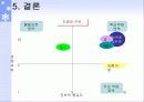 하이트의 기업경영(마케팅, 조직구조) 26페이지