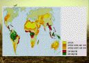 지구환경의 위기(파워포인트 자료) - 대기오염, 수질오염, 토양오염, 식품오염 36페이지