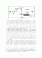 기업분석 - 칠성사이다 SWOT분석 및 마케팅전략 12페이지