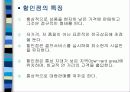 국내 할인점의 전망과 유통현황 4페이지