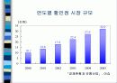 국내 할인점의 전망과 유통현황 8페이지