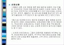 국내 할인점의 전망과 유통현황 11페이지