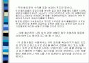 국내 할인점의 전망과 유통현황 12페이지