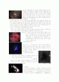 태양계와 은하의 분석 11페이지