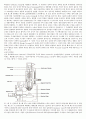 SEM의 구조 2페이지