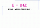 E - BIZ ( VOIP , VOPN , TELEPONY ) 1페이지