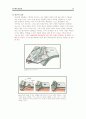 대륙이동설과 판구조론과 해양저확장설 15페이지