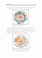 대륙이동설과 판구조론과 해양저확장설 19페이지