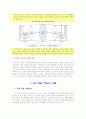 [정책학원론] 정책학과 거버넌스 이론 6페이지