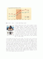 신화를 창조한 삼성 애니콜의 마케팅 성공 사례 분석 18페이지