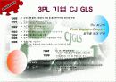 CAS사의 CJ-GLS를 통한 물류혁신사례 조사 및 분석 15페이지