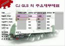 CAS사의 CJ-GLS를 통한 물류혁신사례 조사 및 분석 16페이지